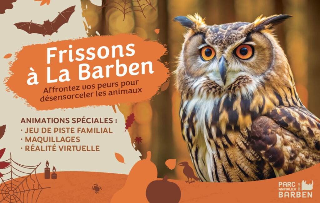 Hibou à la Barben Halloween 2024